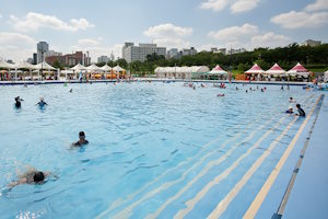 Let's Go to the Swimming Pool