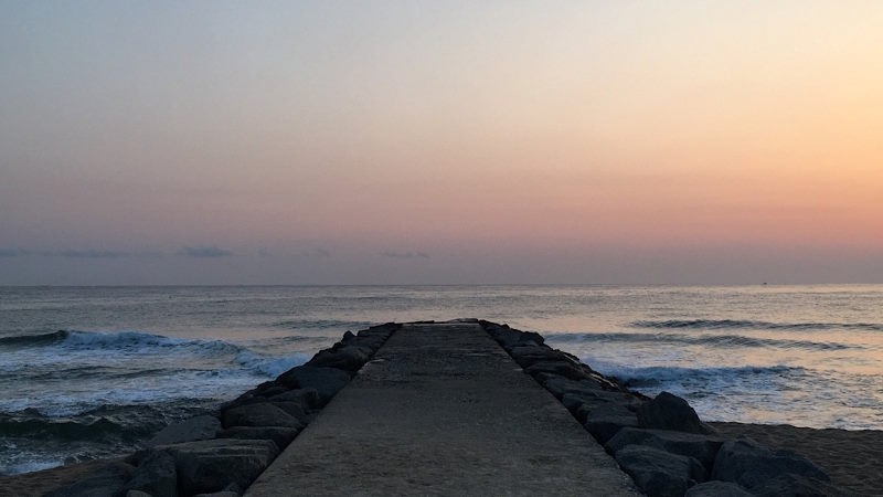 Watching the Sea